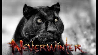 NEVERWINTER ONLINE: Догоняем хвосты?