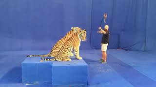 Total Dhamaal - Behind the scenes