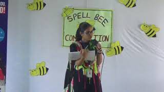 Edify School MDS Inter House Spell Bee