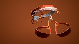 SITTA - Petzl's high end climbing and mountaineering harness