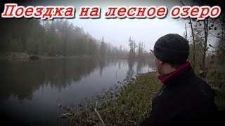Рыбалка на лесном озере