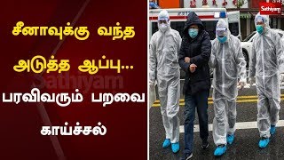 சீனாவுக்கு வந்த அடுத்த ஆப்பு… பரவிவரும் பறவை காய்ச்சல்