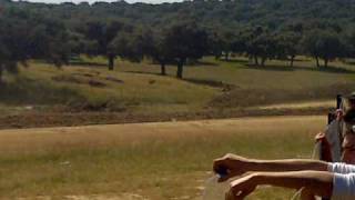autocross villa de logrosan entrenos clase a1