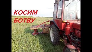 КОСИМ КАРТОФЕЛЬНУЮ БОТВУ РОТОРНОЙ КОСИЛКОЙ/POTATO POTATOES WITH ROTARY MOWERS