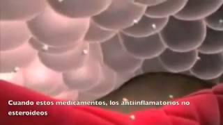 Advil Ibuprofeno para distintos dolores