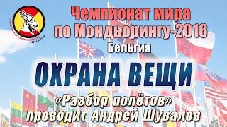 Мондьоринг. Чемпионат мира 2016. Охрана вещи. Наталья Рудакова и Vyatkins X Roy