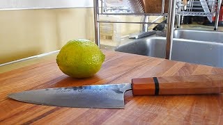 Carter Regrind - Chef Knife to Funayuki (?) from Beginning to End