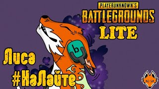 PUBG LITE стрим ★ Лис #НаЛайте! ★ Стрим ПУБГ ЛАЙТ / ПАБГ ЛАЙТ стрим