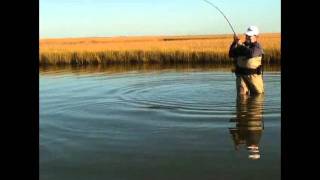 Texas Saltwater Series Back Creek Safari