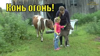 Долгожданная помощь. Много еды. Трактор загудел/ Семья Фетистовых