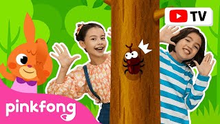 Mira, Mira, ¡Aquí Está! | Pinkfong Canta & Baila | Canciones ​Infantiles
