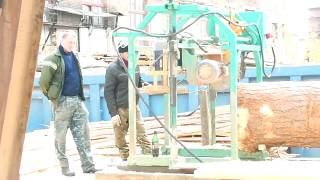 Раскрой бревна. Cutting logs.