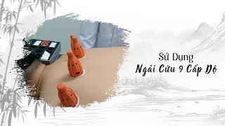 Lương y Nguyễn Xuân Đình: Ngải Cứu 9 Cấp Độ giúp bài hàn, khử ẩm, tăng cường sức khoẻ