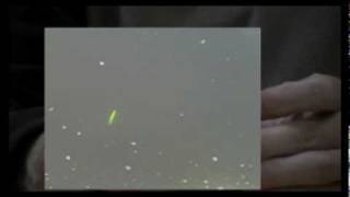 Энциклопедия воблеров на видео — Liberty L.B.minnow 60SP