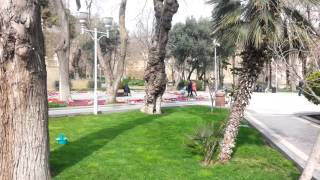 20160326 Baku Gubernator gardens parrots.