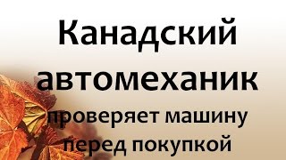 Проверяем машину у русскоязычного механика
