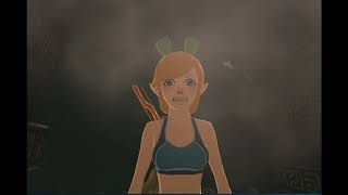 Linkle Costume Variety Deaths