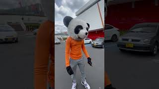 ESTO PASA CUANDO BAJAS EL INODORO !!