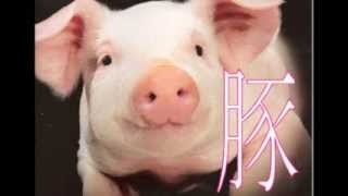 『快楽の宮殿』急性髄膜脳炎