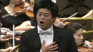 Opera Die Zauberfloete Tamino Aria