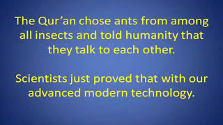 معجزة علمية. نملة تثبت أن القرآن من الله Ants Defeat Atheism