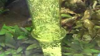 Tetra - Instalacion y Mantenimiento
