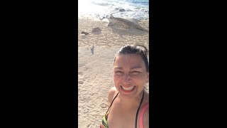 Técnica de la Cinta Microporosa