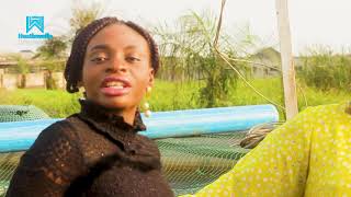 CATFISH BUSINESS IN NIGERIA - THE HUSTLE STORY  OF MR  CHIDI -HUSTLEWELLLA EP. 08