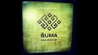 Šuma - Oj jedu ja darohaju