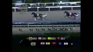 Breeders Crown Mare Trot 2012 -Tamla Celeber