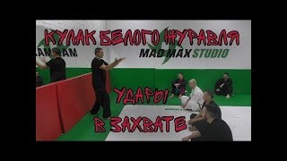 Кулак белого журавля - удары в захвате (семинар)