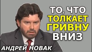 Что требует МВФ от Украины и факторы девальвации гривны. Андрей Новак (укр)