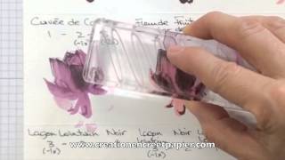 Création Encre et Papier Vidéo = Étampe en étapes /  Layering Stamps Stampin'Up!