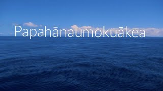 Building Pilina (Relationships) to the Deep Sea of Papahānaumokuākea