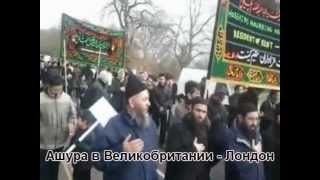 Численность шиитов в Европе растет. Ашура в Европе