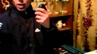 manelistu  pocum  t- raducani