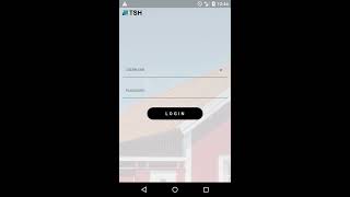 Flutter: Testing the AnimatedBackground Widget
