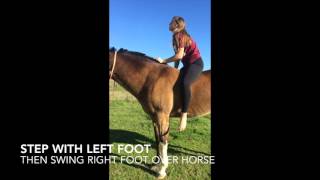 How to: Mount a horse bareback :-)