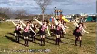 恋するフォーチュンクッキー　北茨城市.Ver