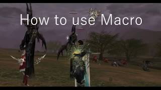 How to Macro / BOT / Lineage 2 / Wynn Summoner / Quest: Duty of Survivor (doesn't work in classic)