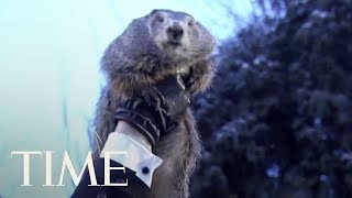 Groundhog Day 2018: Punxsutawney Phil Predicts Winter Is Sticking Around | TIME