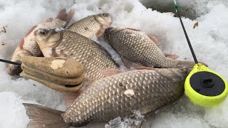 карася на мормышку зимой. У меня еще никогда не было такой рыбалки!улов гарантирован 100%