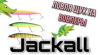 Щуки на воблеры Jackall.