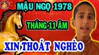 Mậu Ngọ 1978 Được Ơn Trên Nhắc Mệnh Sống Đời GIÀU SANG Tháng 11 Âm Lịch