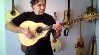Bouzouki & irish bouzouki, mandole & cistre de Philipe Berne luthier