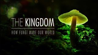 The Kingdom: How Fungi Made Our World