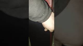 Шнековый дымогенератор МИГ
