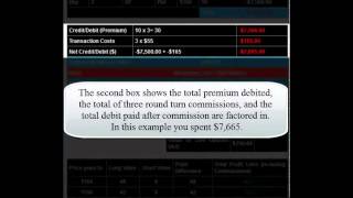 Buy Put Demo S And P 500