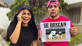 ¡PERDIMOS SUS PERRITOS BEBÉS! BROMA PESADA A MI NOVIA ????