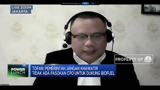 Soal Rencana Pajak Progresif Ekspor CPO, Ini Tanggapan Gapki
